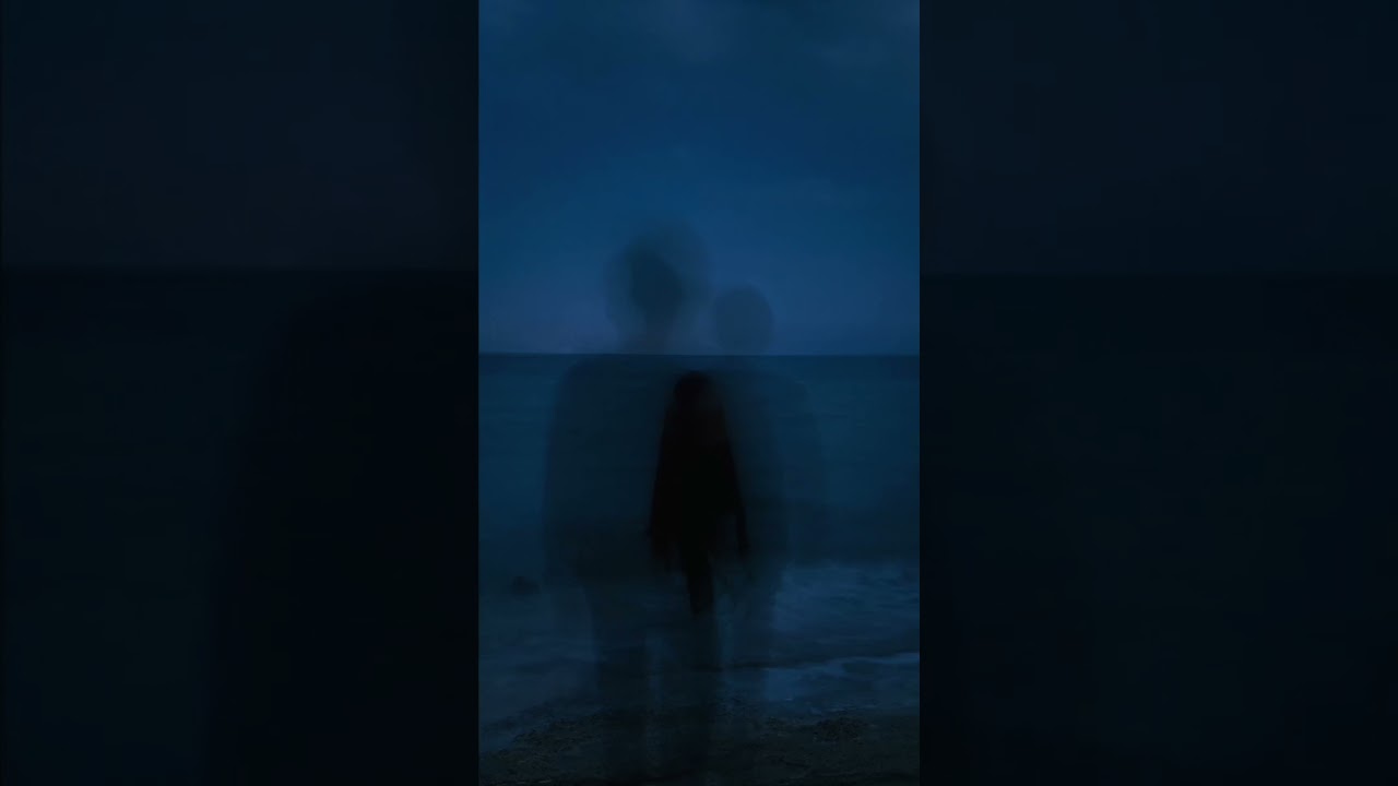 WIRED NETWORK - INTERFERENCIA | 