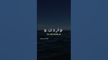 قران كريم بصوت جميل ♥️ #اكسبلور #foryou #لايك #tiktok #راحة_نفسية #ترند