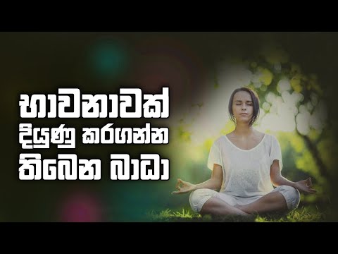 භාවනාවක් දියුණු කරගන්න තිබෙන බාධා…