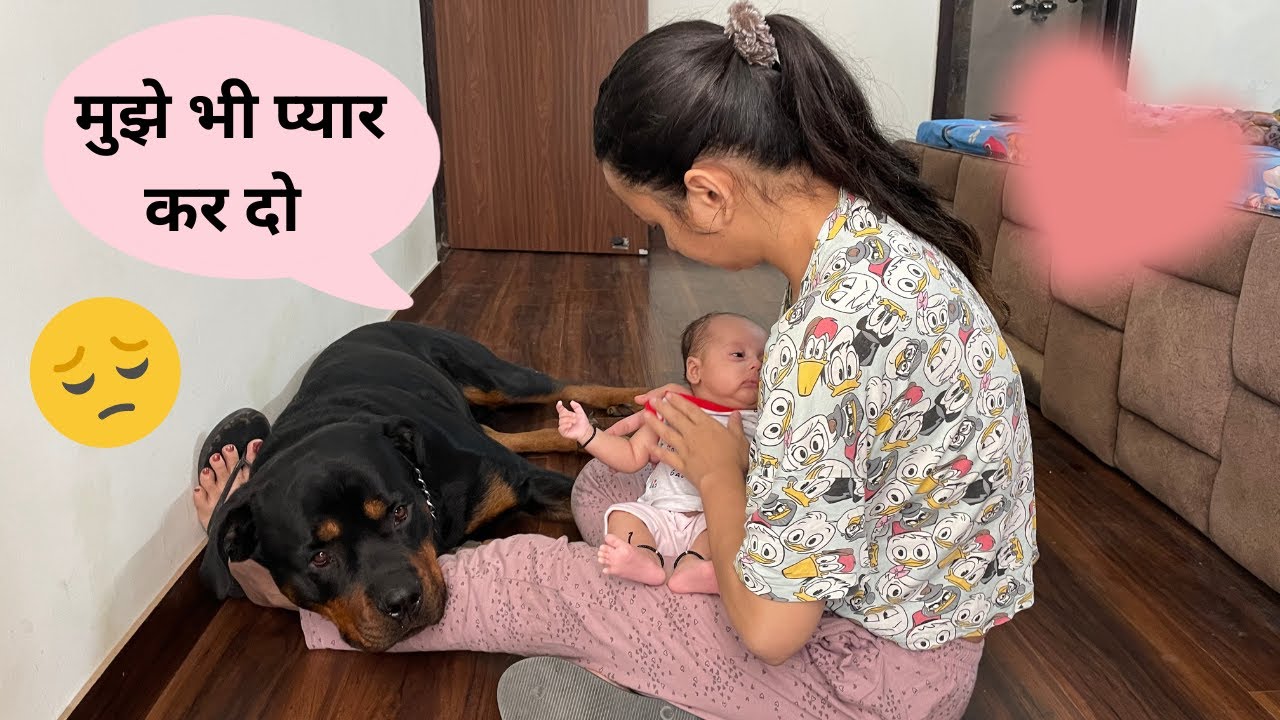 Dog jealous of newborn baby 😀 YouTube