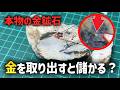 佐渡金山の金鉱石から金を取り出して売ると儲かる?#金塊ビンゴ #砂金 #ゴールドハンタービンゴ