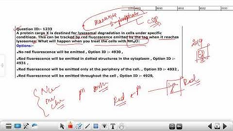 DBT BET JRF 2021 PYQs Solutions | #dbtjrf2023