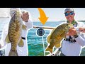 SIGHT FISHING Bass with the LONG ROD! ( Clear Water FLY ACTION )