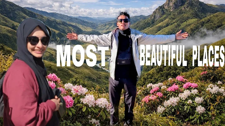 Nagaland MOST Beautiful places || SOME Were    @Rojamsovlog  @UnknownNagaVlog90 