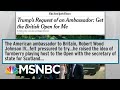 Trump's Authoritarian Leanings Threaten To Corrupt 2020 Election | Rachel Maddow | MSNBC