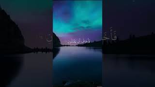 القارئ اسلام صبحي | آيات من سورة الشعراء {وَإِذْ نَادَى رَبُّكَ مُوسَى}