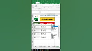 How to check expiry date using edate function  #shorts #excel #exceltips #viral #computer