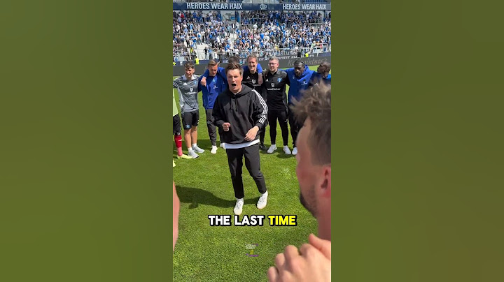 Hamburger SV supporters celebrate on the pitch