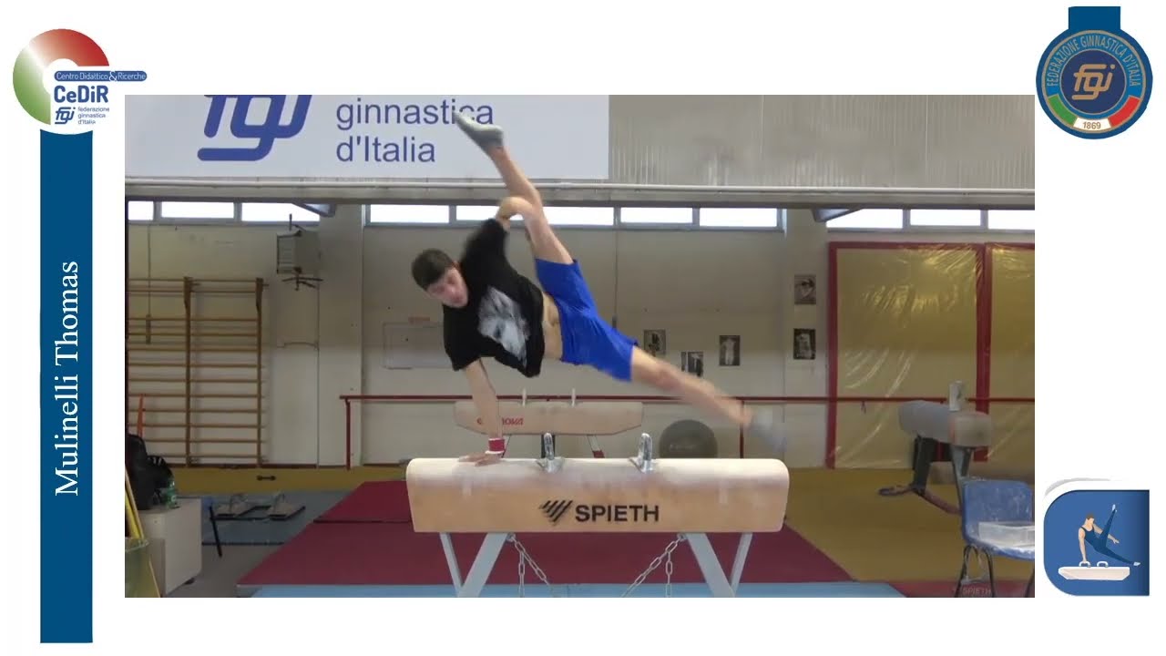 CeDiR - Formazione Quadri Tecnici FGI - Cavallo con maniglie - 