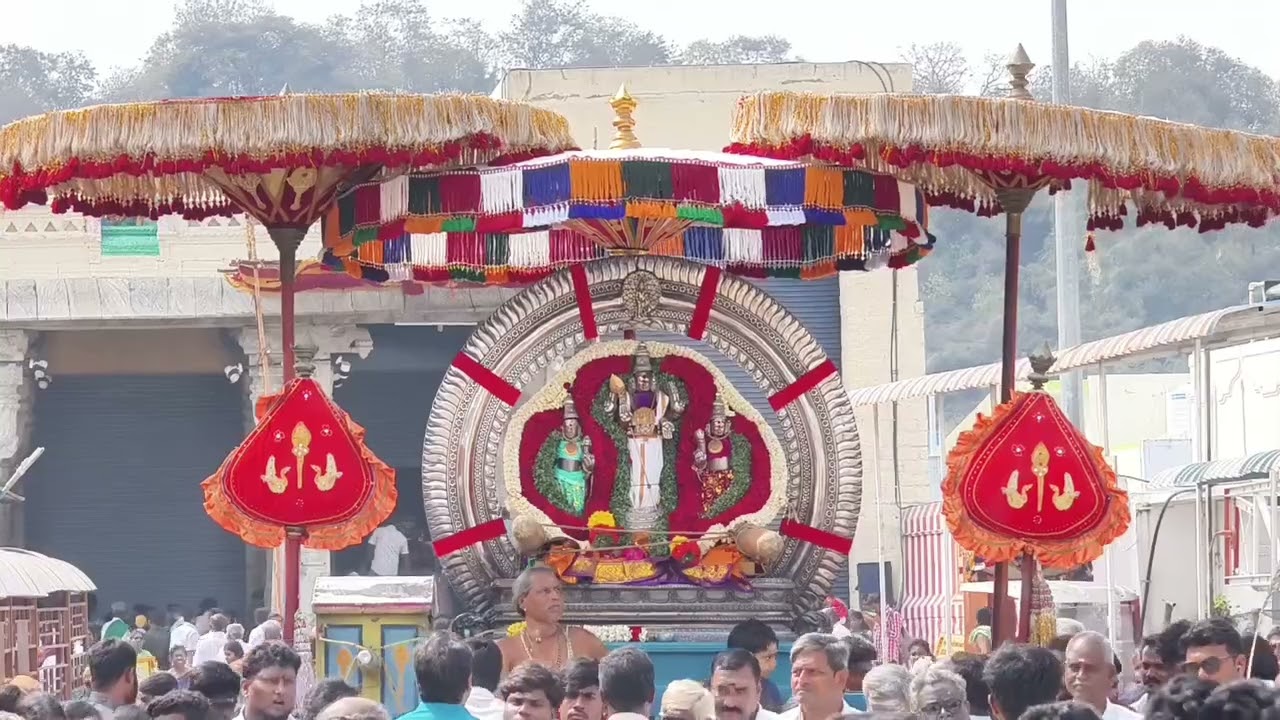 உற்சவர் முருகப்பெருமான் வெள்ளி சூரிய பிரபை வாகனத்தில் எழுந்தருளினார் #viral #trend  #murugan     