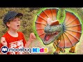 GIANT Dinosaurs at Family Trip! @T-Rex Ranch - Dinosaurs For Kids | Jurassic TV | Dinosaur Videos