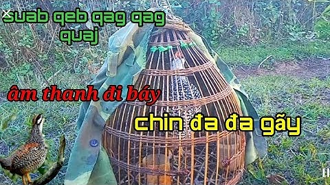 chin đa đa gay... suab qeb qag qag quaj (âm chuân)