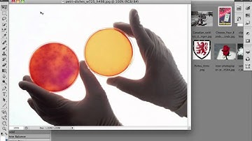 Photoshop CS5 - Open Files and Bridge