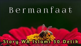Story WA Islami 30 detik | 'Bermanfaat' | Snap WA Islami 30 detik | Quotes Islami