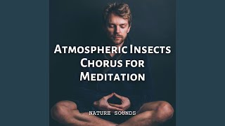 Insects Symphony Meditation