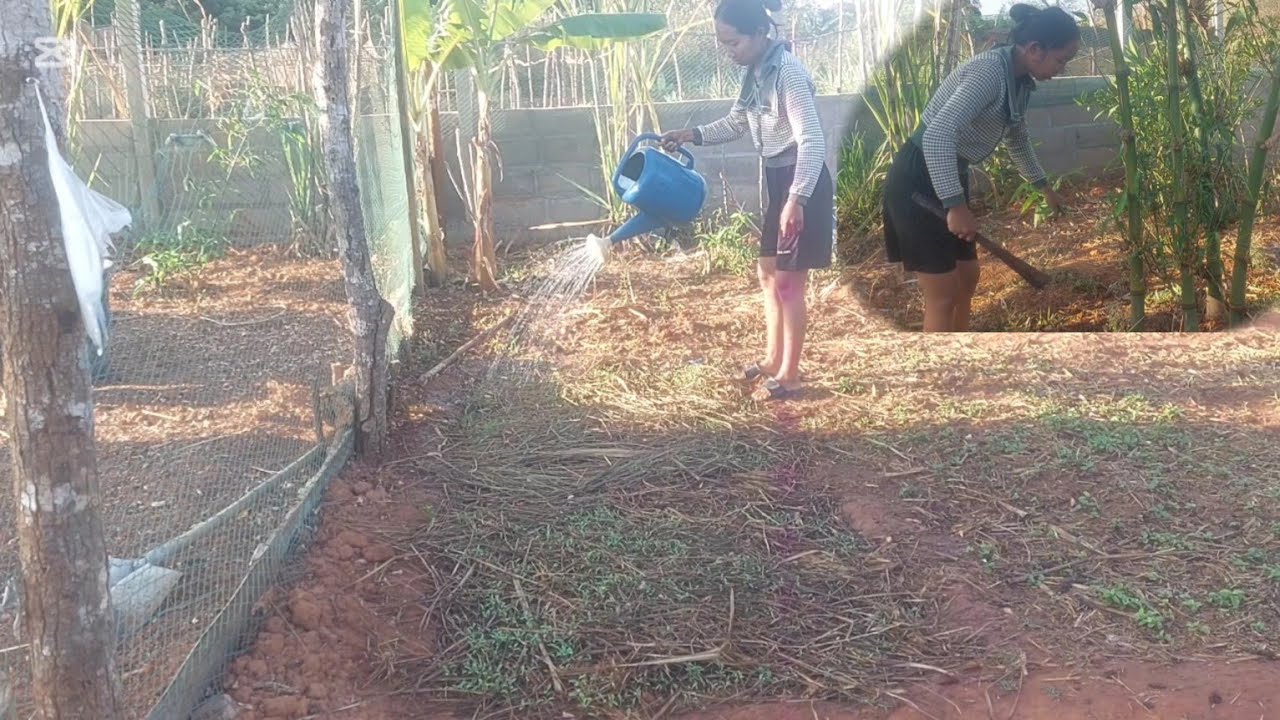 รดผักตอนเช้า 20 กุมภาพันธ์ ค.ศ. 2026