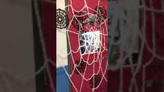 Mrs. Lurz Red Ribbon Week door