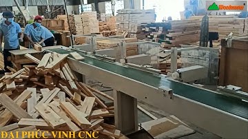 MÁY CẮT NGANG VẠCH PHẤN TỰ ĐỘNG | CẮT , LỰA PHÔI SIÊU TỐC WOODMASTER