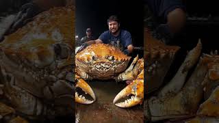 Big Crab Caught Resimi