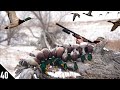 First 28 GAUGE Mallard LIMIT on a HEATED SLOUGH! | Duck Hunting 2020