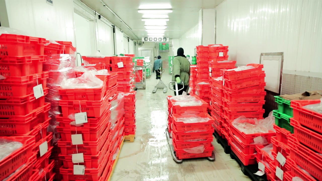 Carnes de Coclé, S.A. - Versión Español