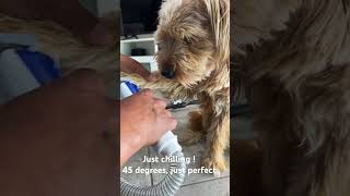 Just Chilling 45 Degrees No Winds  Perfect 