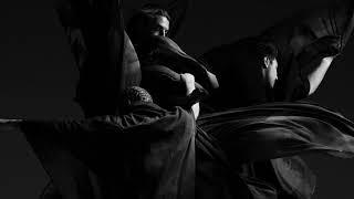 Swedish House Mafia  Lifetime slowed Down