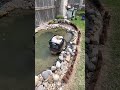 How to clean a muddy backyard pond in 3 hours!