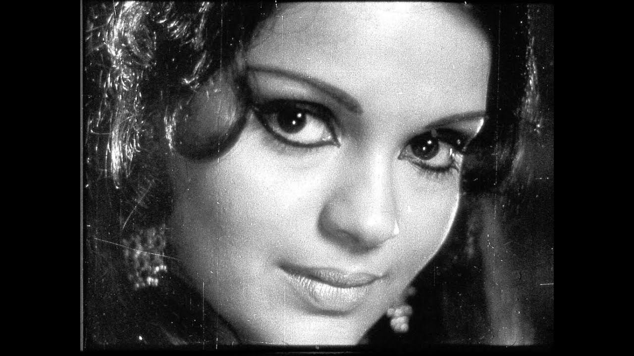 biography of zeenat aman in hindi