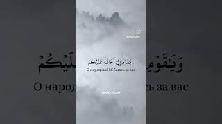 Сура: 40 Аяты: 30-33. #рек #коран #субханаллах #альхамдулиллах #quran