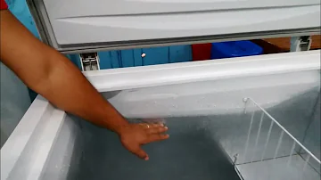 O que eu posso colocar no freezer?