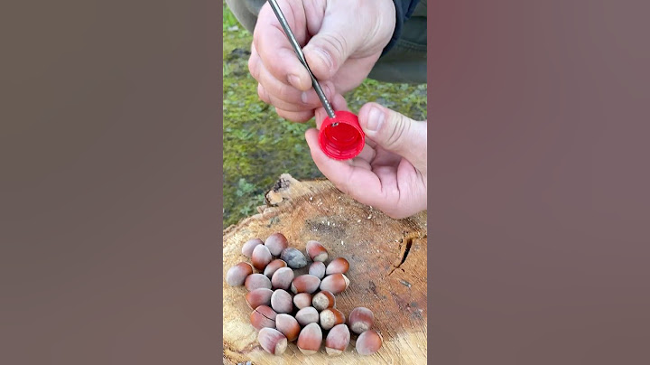Genius LifeHack for Quick Nut Cleaning with Whole Kernels. #lifehacks #ideas #camping