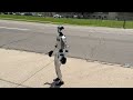 Robot walking down Michigan street stops traffic