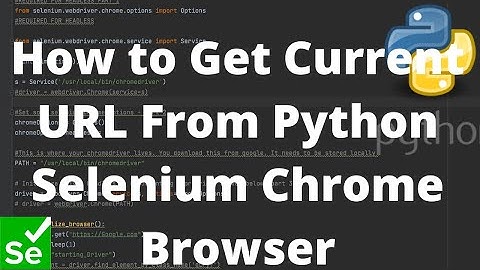 Python Selenium Tutorial #7 - How to Get Current URL From Python Selenium Chrome Browser