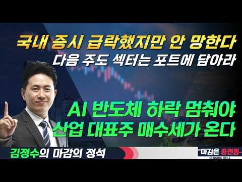 시장 급락 나온 이유는 AI반도체 대한 믿음이 깨져서?/AI 반도체 멈춰야 /시장이 산다 #코스피 #코스닥 #AI반도체 #주도주 #산업대표주 #김정수