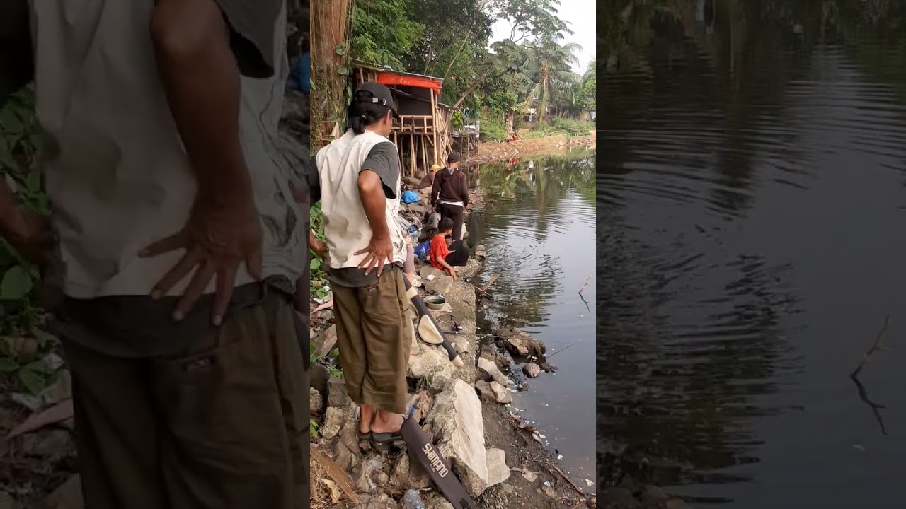 mancing di setu tonjong bogor depok , babon nila guys
