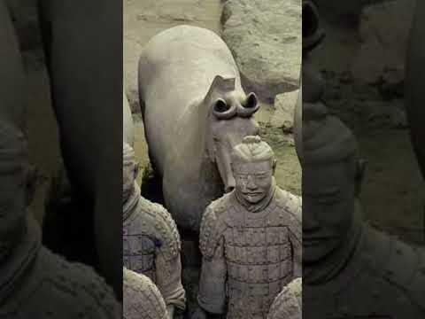 8000 وجه فريد لغز جيش التراكوتا الصيني الذي ب ني في السر شورتس
