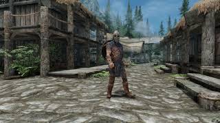 Tera human warrior idle