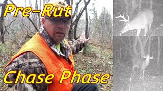 The Vine Mock Scrape During Pre-Rut Chase Phase