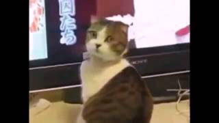 Yasaklanan Nuts Reklamı