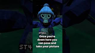 How To Get A Gorilla Tag PFP WITHOUT A PC Or Blender #gorillatag