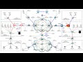 شرح البنية التحتية للشبكات والسيرفرات | 10| lecture 10 Lab Infrastructure By Ahmad H AL Mashaikh