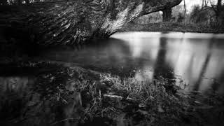 Snowdrops and water, thorough a pinhole
