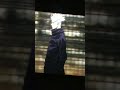 Jujustu kaisen 0 jogo vs foreigner in India cinema