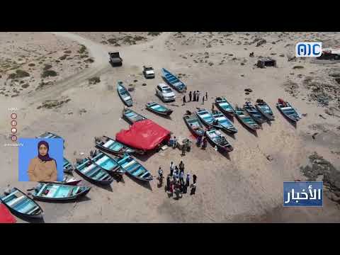 أكثر من 12 طنا في اليوم الأول... سقطرى تبدأ موسم الشروخ بإنتاج واعد