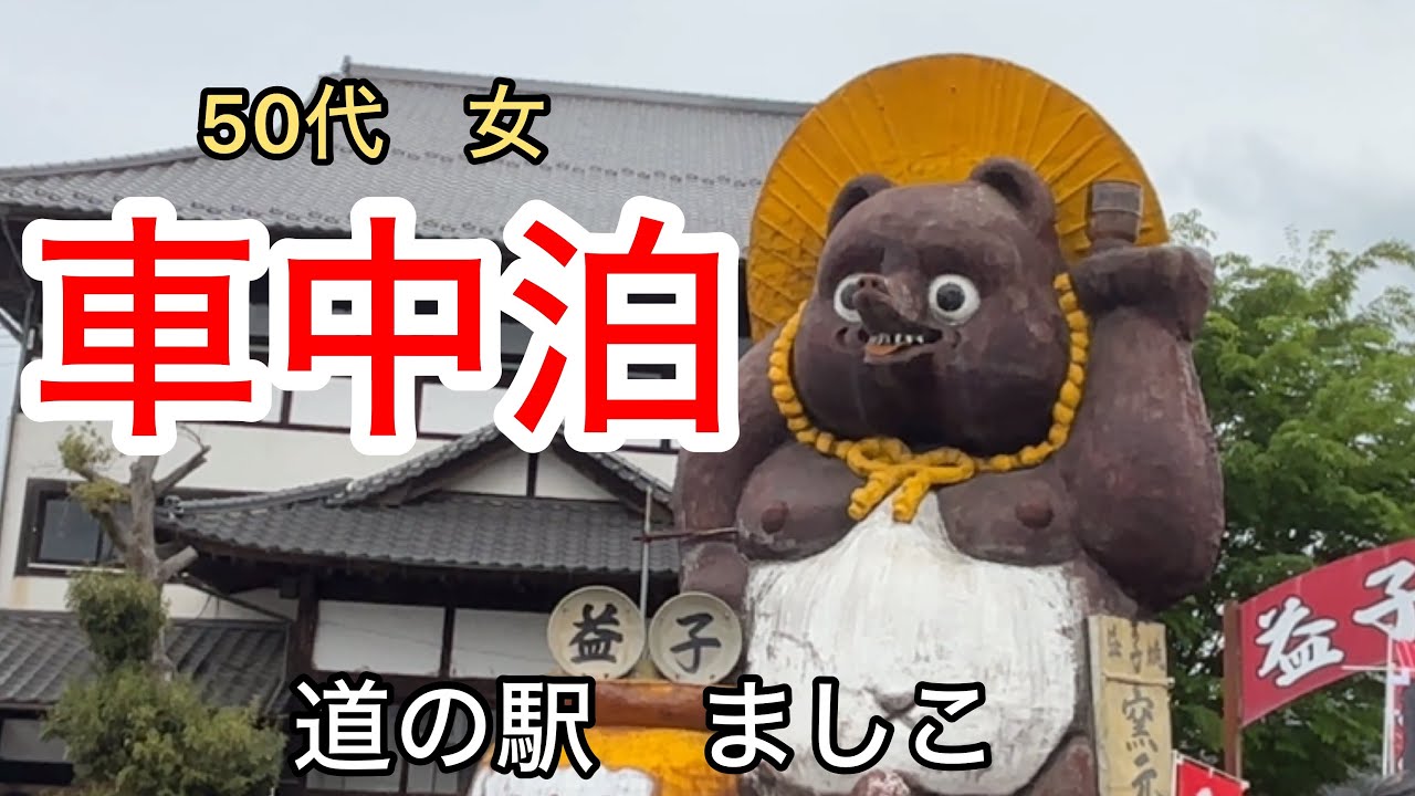 N-VAN車中泊】可愛いが止まらない！魅力満載の栃木旅・ましこ陶器市