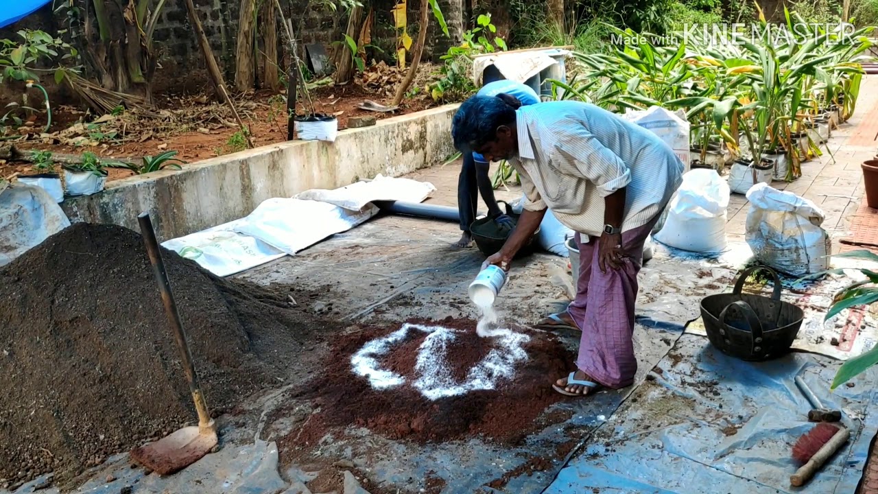 Soil preparation for vegetable cultivation - YouTube