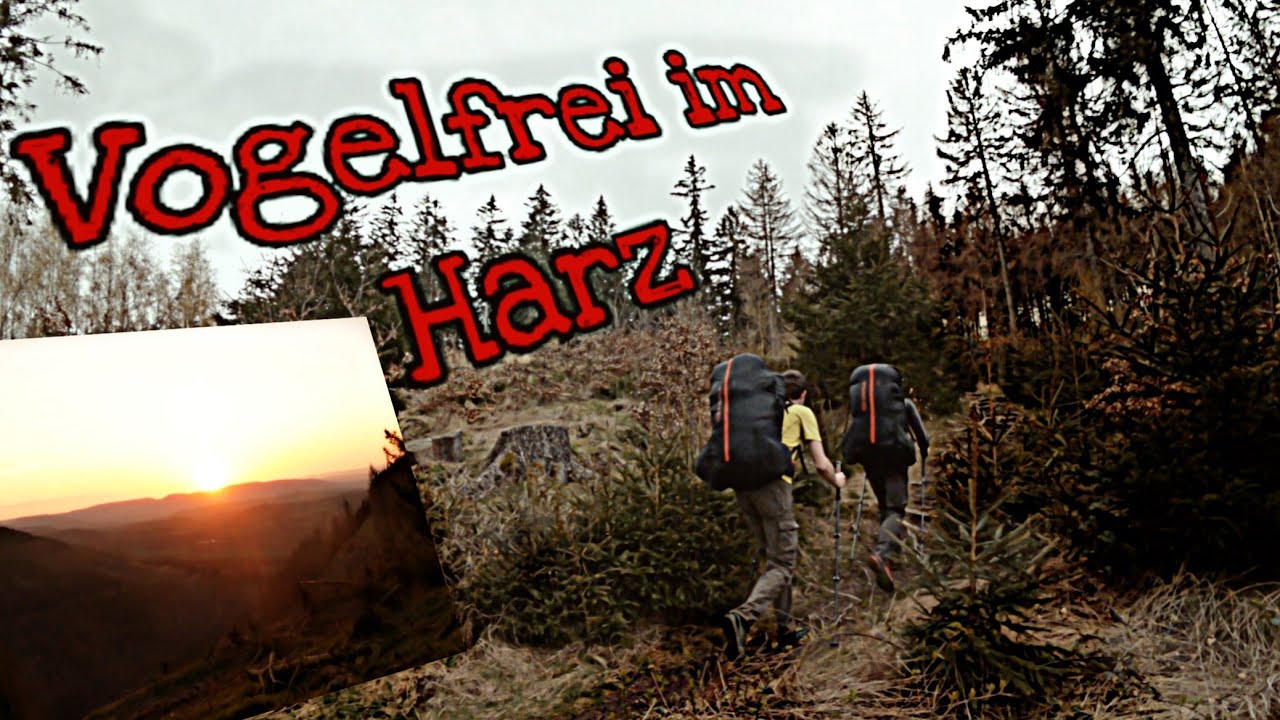 Biwakfliegen im Harz: 
