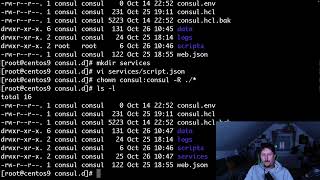HashiCorp Consul - Script based service check via API