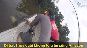 Hành trình đi câu trên sông Amazon vô tình bắt được thủy quái khổng lồ